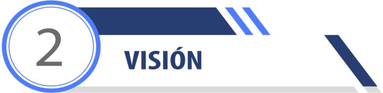 VISION VISION