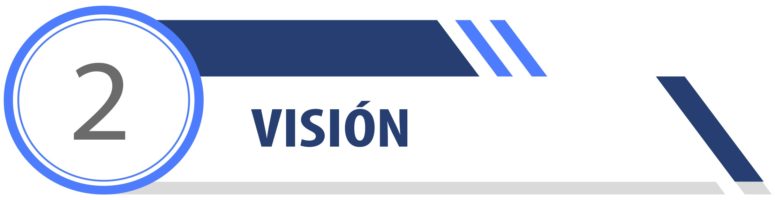 VISION VISION
