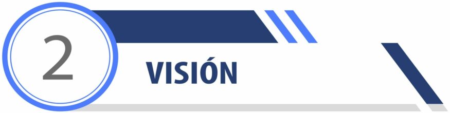 VISION VISION